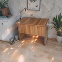 Office Desk TB-A10M (100x60 Cm)